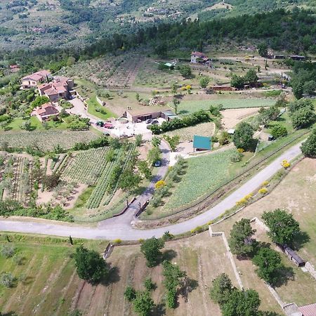 Castelfranco di Sopra Agriturismo Villa Iris المظهر الخارجي الصورة