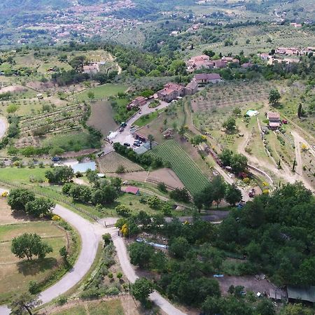 Castelfranco di Sopra Agriturismo Villa Iris المظهر الخارجي الصورة