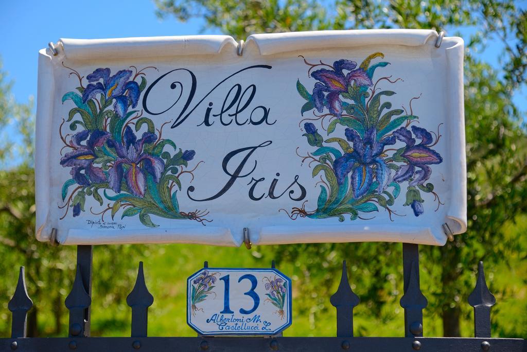 Castelfranco di Sopra Agriturismo Villa Iris المظهر الخارجي الصورة