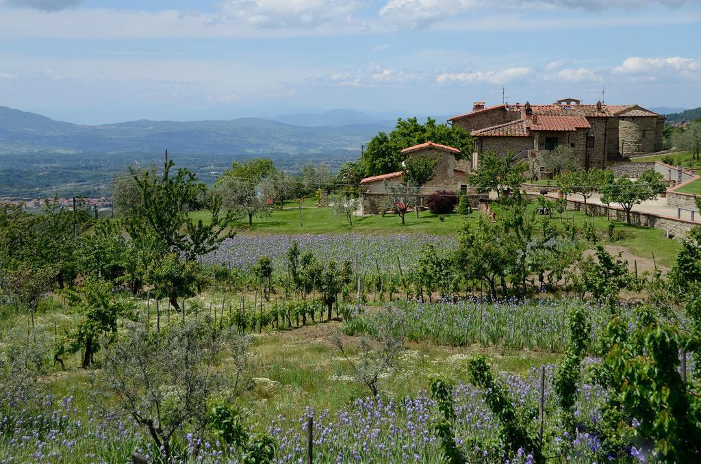 Castelfranco di Sopra Agriturismo Villa Iris المظهر الخارجي الصورة