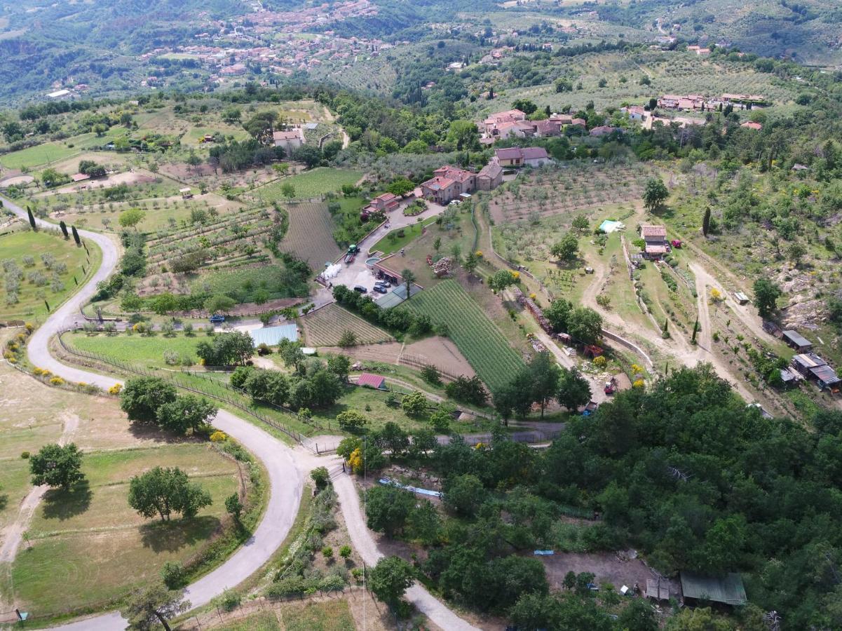 Castelfranco di Sopra Agriturismo Villa Iris المظهر الخارجي الصورة